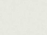 Обои 60731-03 SILK 1.06*10м  ERISMANN