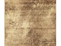 Дорожка  VENECIA 0.80 22029/110   KARPETOFF