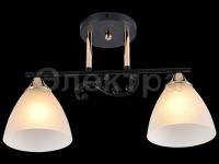 Светильник 01278-0.3-02 B BK+FGD     ELEKTRA