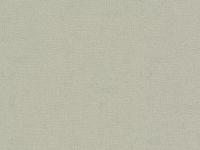 Обои 920659 1.06м (6) СС