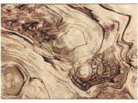 Ковер MASHAEL ROCAS 140X200 0547-Q03 J   ORIENTAL WEAVERS  