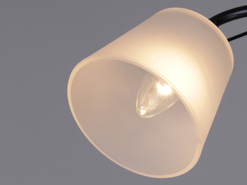 Светильник 06116-0.3-02  BK+CR    ELEKTRA