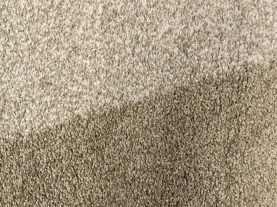 Ковер CARMONA 200X280 49090-YT5 J   ORIENTAL WEAVERS  