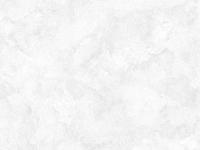Обои 1001-04 ПЕРО (12) СС
