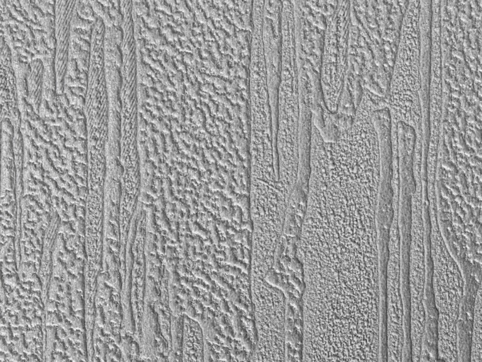 Обои 60618-06 ACCENT 1.06*10м  ERISMANN