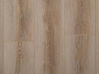 Ламинат Вяз Тонга 4.575 м2 8мм АС4   KASTAMONU