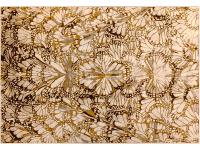 Ковер HASHT BEHESHT 160X230 VNHA012 BEIGE   FARRAHI