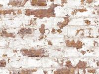 Обои 038-03 (9) СС