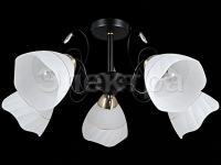 Светильник IL 9965-5CSQ-79 BK AB      ELEKTRA