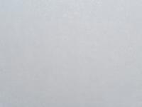 Обои 11239-03 Форест-уни 1.06*10м   АРТЕКС