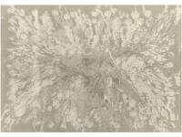 Ковер ASTER 240X340 AA214A IVORY-L.BEIGE   FDS OZ KAPLAN 