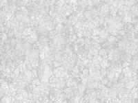 Обои 728-06 (15) СС