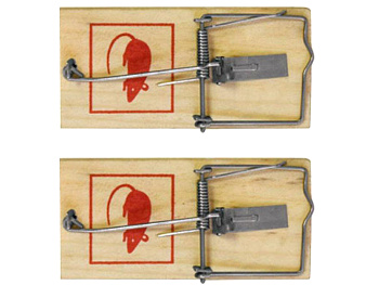 Мышеловка деревянная 100*45 (2)   FIT